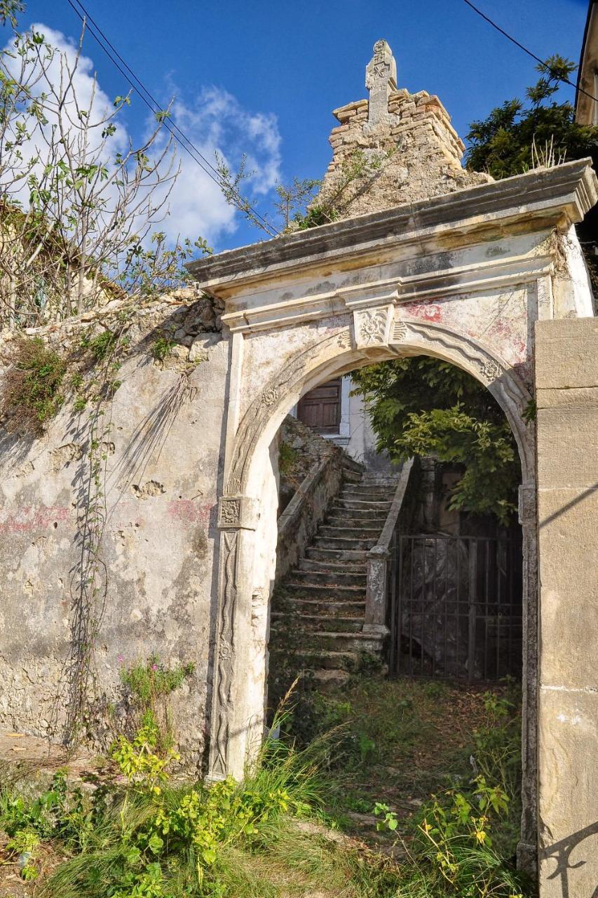 Alexandras Forest View Άγιος Προκόπης Εξωτερικό φωτογραφία